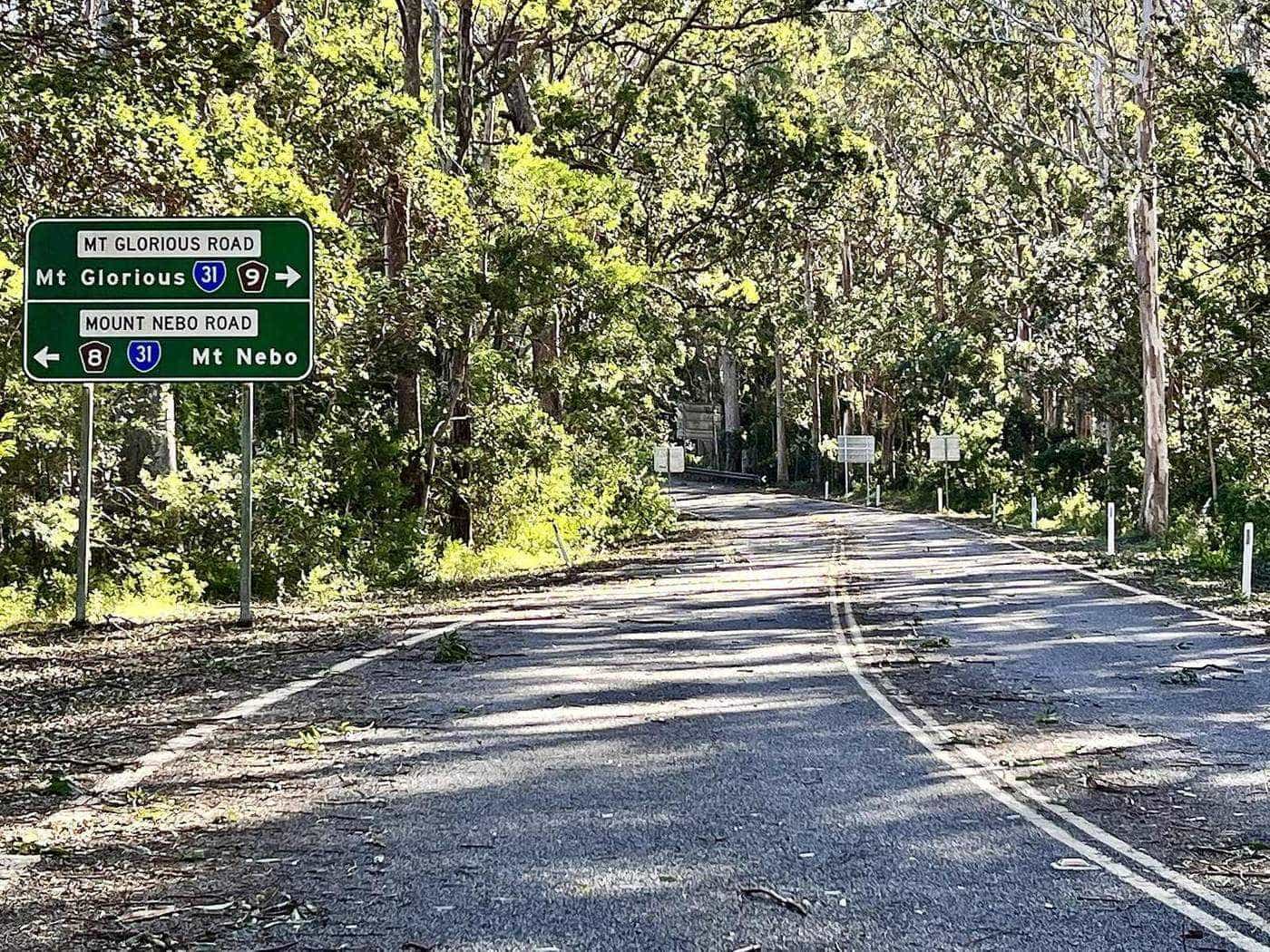 A winding sealed road disappearing into tall eucalypt forest on Mount Glorious Road