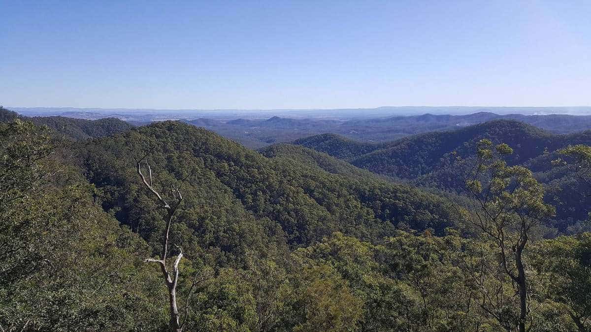 A broad view across forested ranges under a blue sky from a mountain lookout