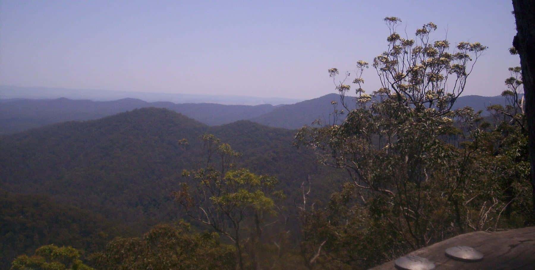 Hazy blue ridges of the D'Aguilar Range seen from a lookout