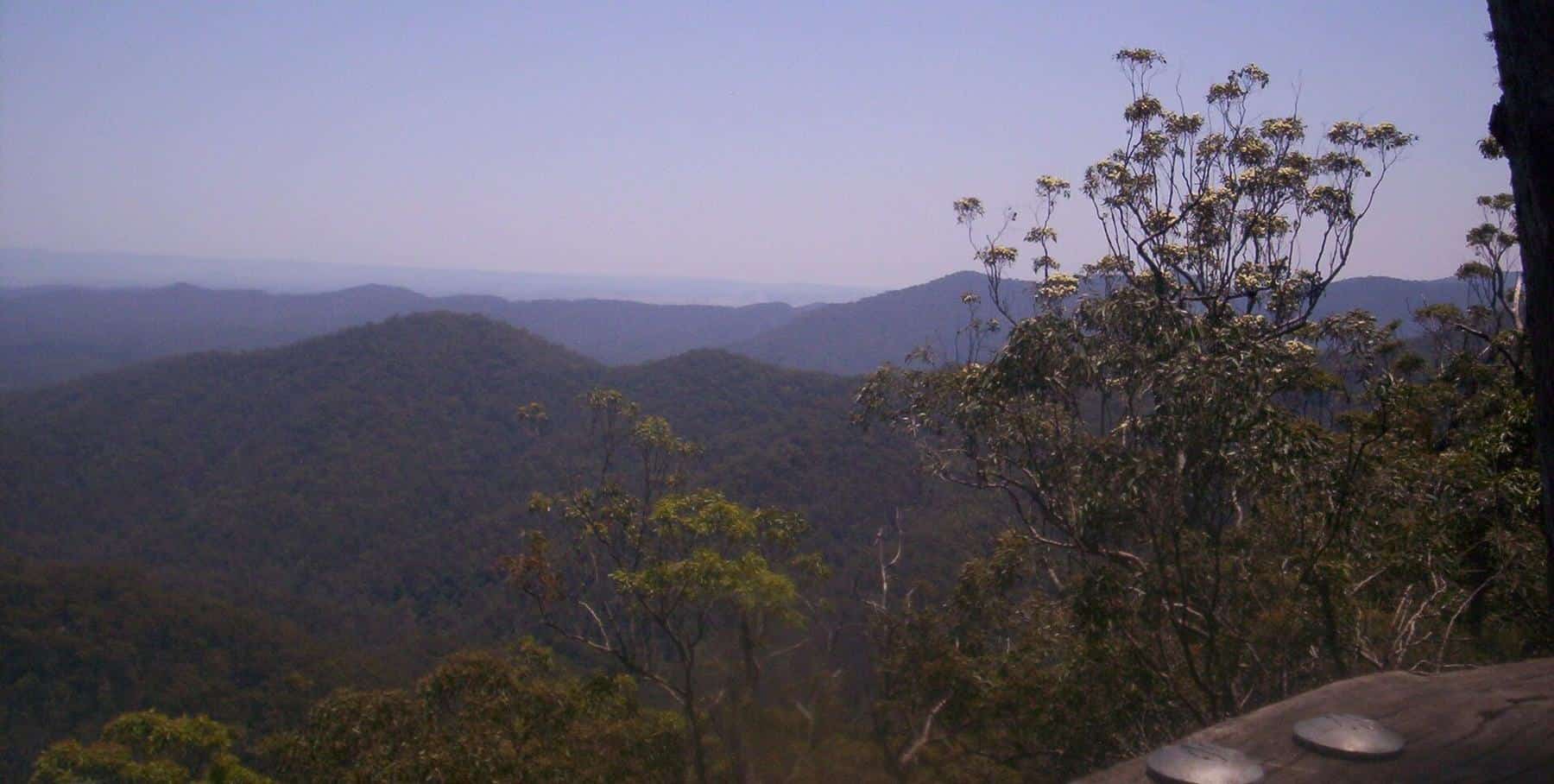 Layered forested ridges of the D'Aguilar Range under a pale sky