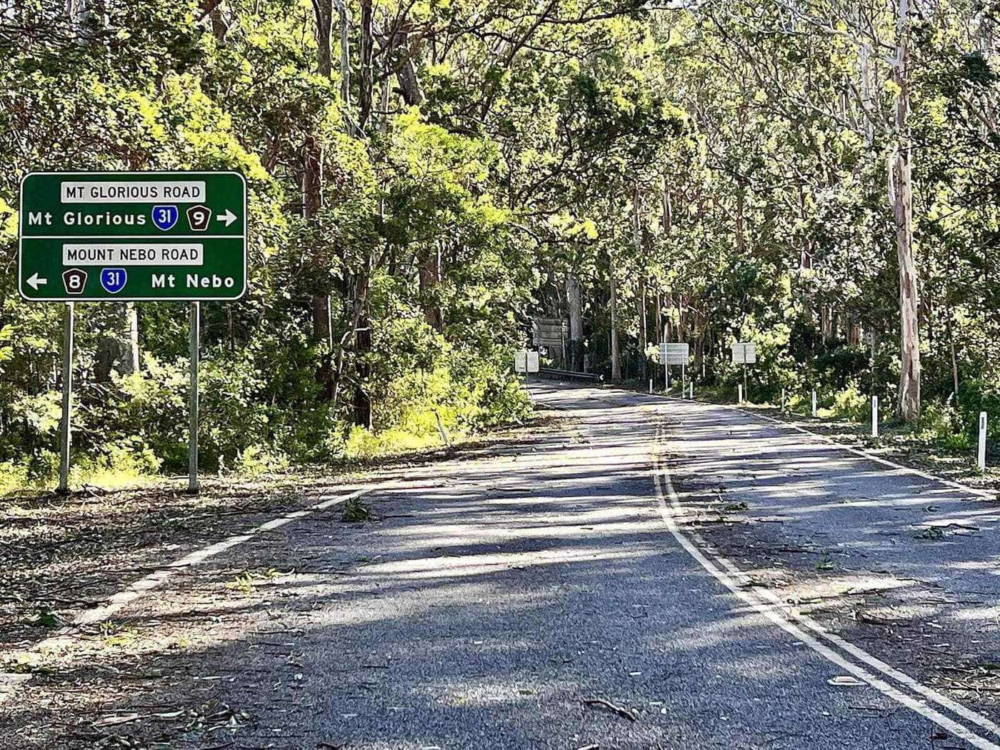 A winding sealed road disappearing into tall eucalypt forest on Mount Glorious Road